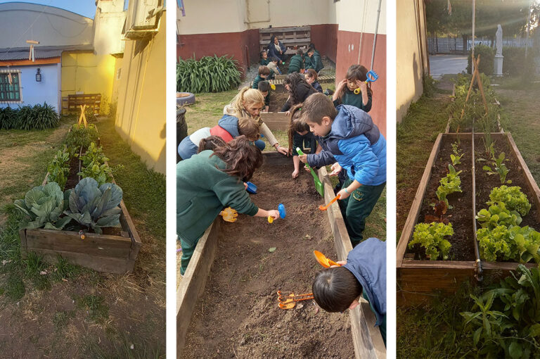Colegio Nuestra Señora de la Paz - Proyecto huerta